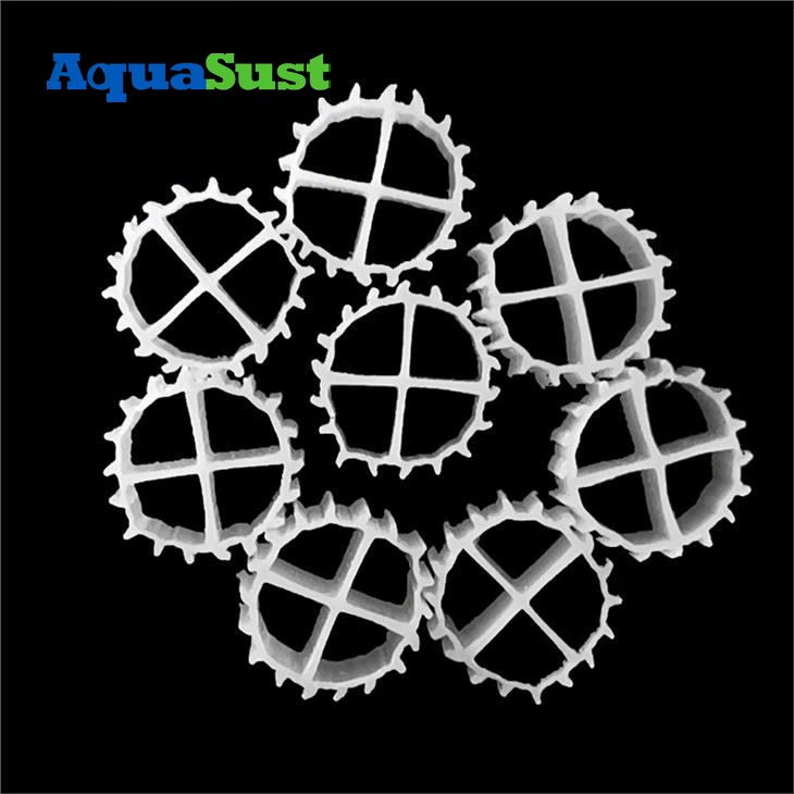urutan media filter talang aquarium
